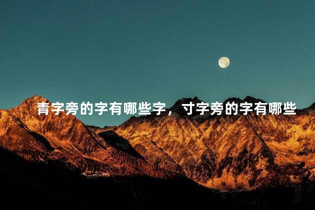 青字旁的字有哪些字，寸字旁的字有哪些字