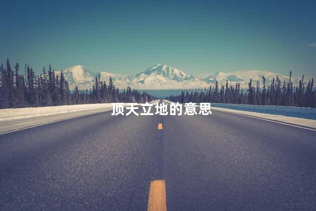 顶天立地的意思