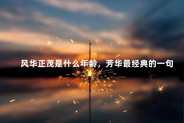 风华正茂是什么年龄，芳华最经典的一句话