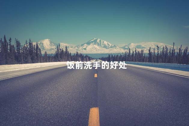 饭前洗手的好处