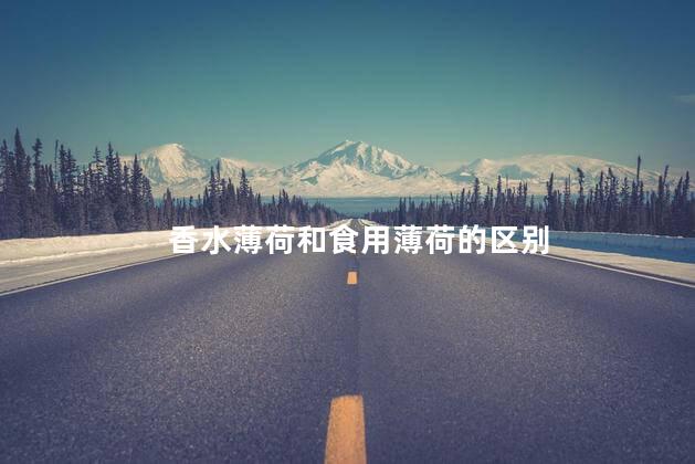 香水薄荷和食用薄荷的区别