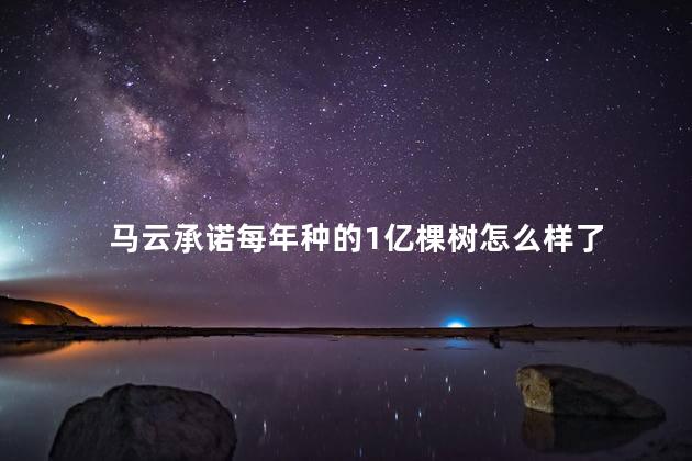 马云承诺每年种的1亿棵树怎么样了