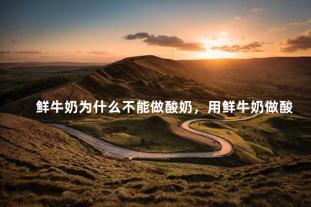 鲜牛奶为什么不能做酸奶，用鲜牛奶做酸奶的制作方法