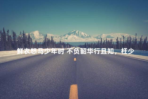 鲜衣怒马少年时 不负韶华行且知，枉少年上一句是什么