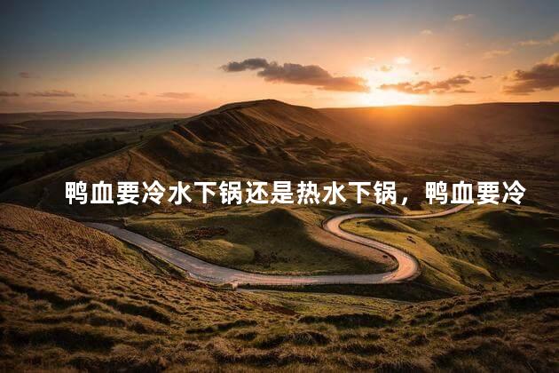 鸭血要冷水下锅还是热水下锅，鸭血要冷水下锅还是热水下锅好