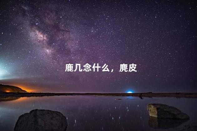 鹿几念什么，麂皮