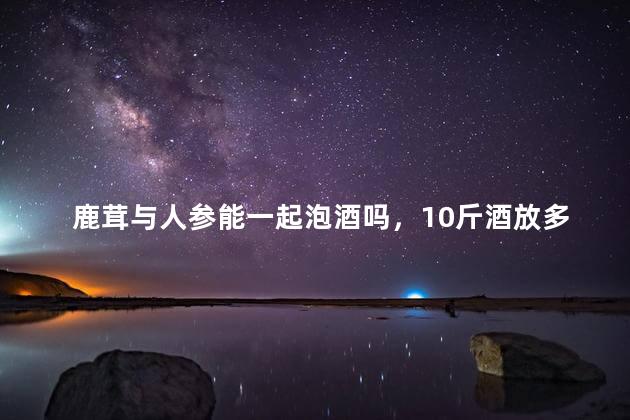鹿茸与人参能一起泡酒吗，10斤酒放多少鹿茸