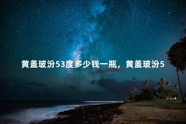 黄盖玻汾53度多少钱一瓶，黄盖玻汾53度鉴别真伪