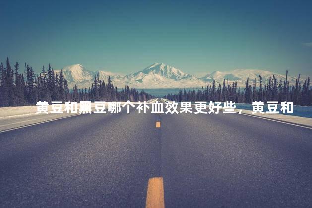 黄豆和黑豆哪个补血效果更好些，黄豆和黑豆哪个补血效果更好些呢