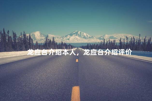 龙应台介绍本人，龙应台介绍评价